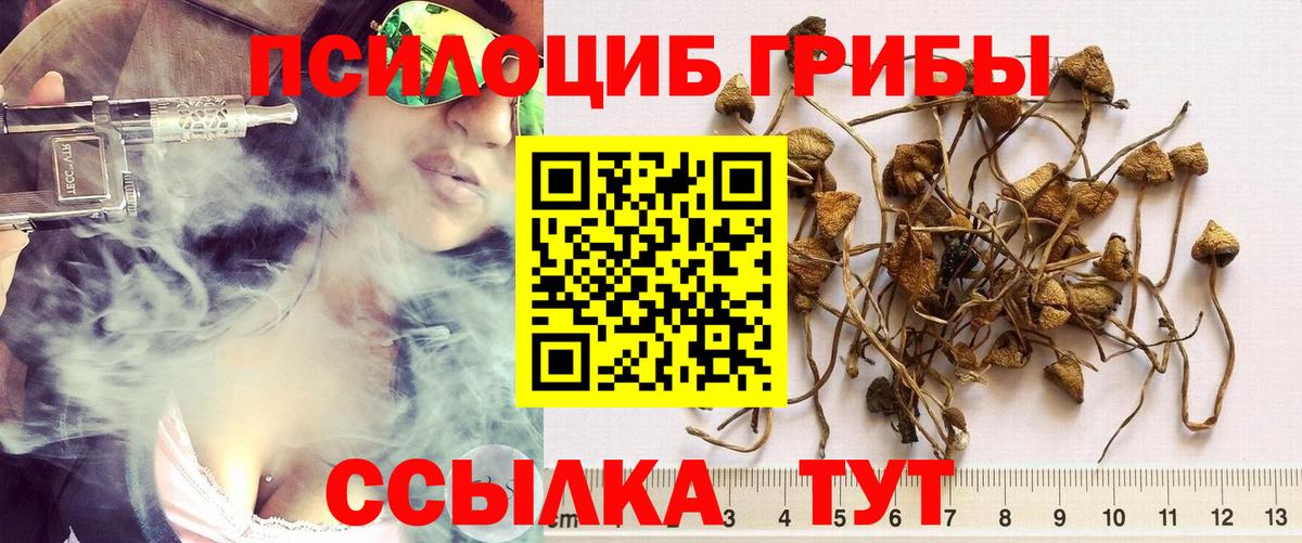 Галлюциногенные грибы прущие грибы Новороссийск