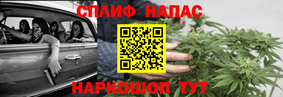 Бошки марихуана гибрид Новороссийск