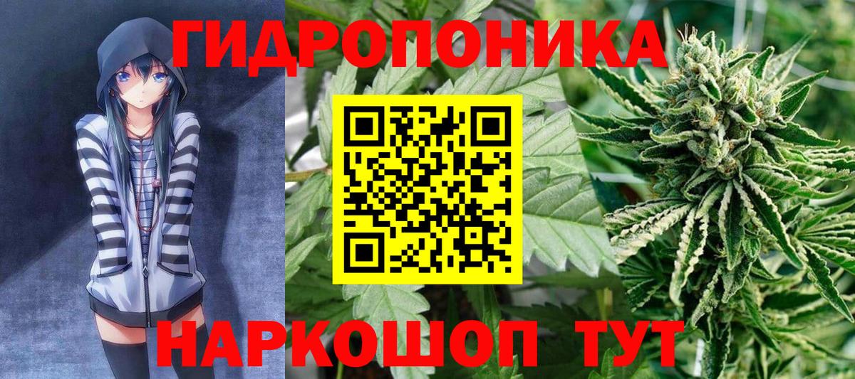 МАРИХУАНА индика  Конопля сатива  Новороссийск  Бошки Шишки OG Kush  Вход с VPN 